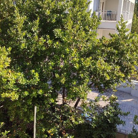 Apartments Ivo Makarska Eksteriør bilde